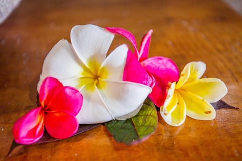 Nanuk's Bungalows Campground/ 
RV Resort in Nusapenida