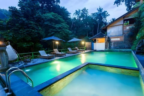 Ani's Villas Villa in Payangan