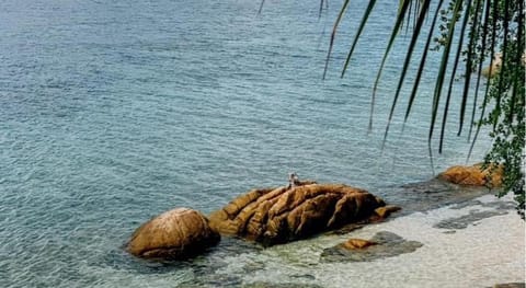 P.D. Beach Resort Resort in Ko Tao