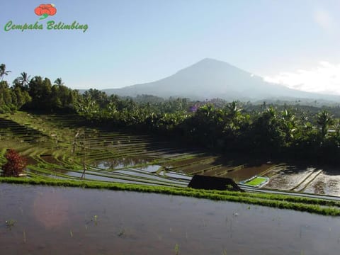 Cempaka Belimbing Villa Campground/ 
RV Resort in West Selemadeg