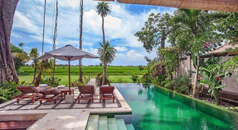 Villa Tamu Seseh Villa in Mengwi