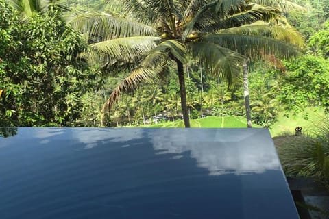 Umah Tampih Luxury Private Villa - CHSE Certified Villa in Abiansemal