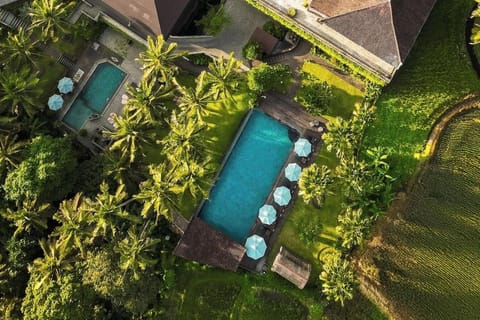 The Artini Dijiwa Ubud Hotel in Ubud
