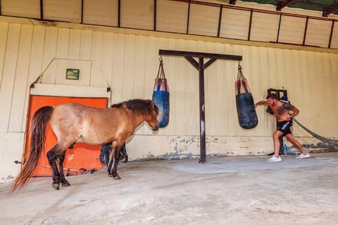 Phi Phi Chang Grand Resort Resort in Krabi Changwat