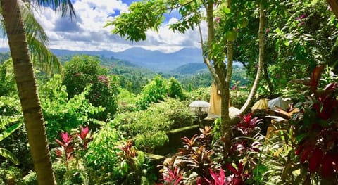 Gunung Paradis Retreat Villa in Bali
