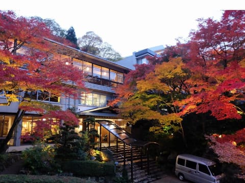 Property view