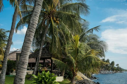 Relax Bali Beach Front Dive & Spa Resort Campground/ 
RV Resort in Karangasem Regency