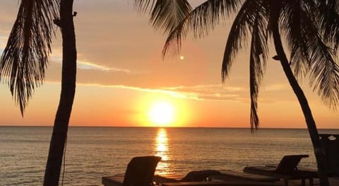 Paradise Palm Beach Bungalows Campground/
RV Resort in Karangasem Regency