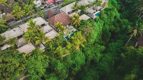 Luwak Ubud Villa & Jungle Suite Villa in Ubud