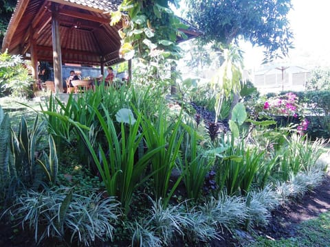 Argasoka Bungalows Campground/ 
RV Resort in Ubud