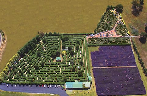 AAA Granary Accommodation Resort in Tasmania