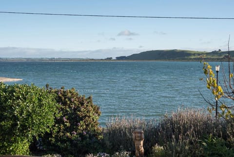 The Ark Stanley Luxury Bed and Breakfast Bed and Breakfast in Tasmania