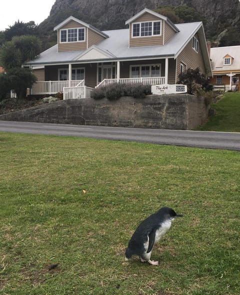 The Ark Stanley Luxury Bed and Breakfast Bed and Breakfast in Tasmania