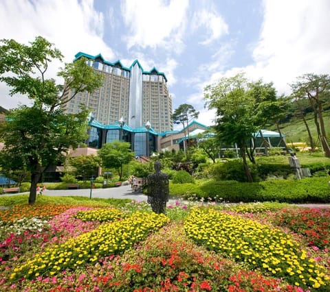 Property view