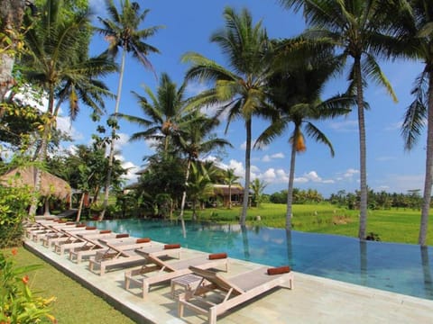 Mathis Retreat Hotel in Abiansemal