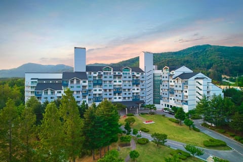 Property view