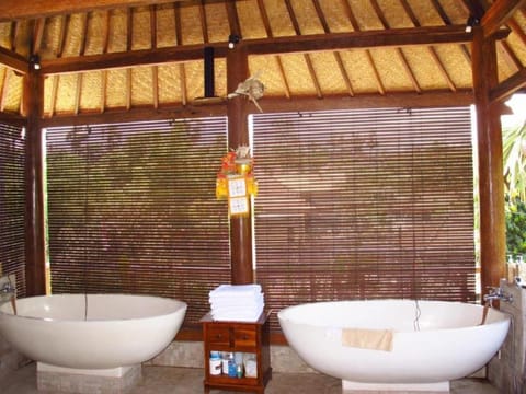 Villa Alba Bali Dive Resort Hotel in Karangasem Regency