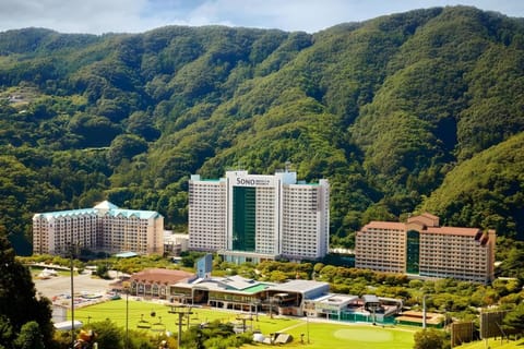 Property view