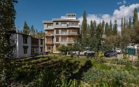 Property view