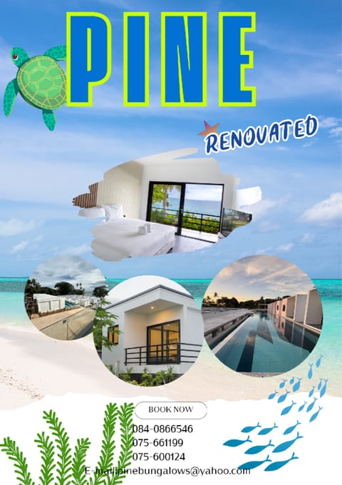 Pine Bungalow Resort in Krabi Changwat