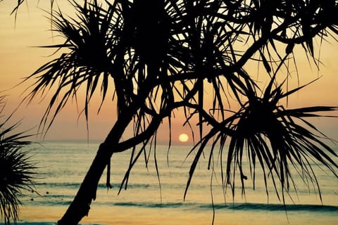 The Palms Ceningan Hotel Campground/ 
RV Resort in Nusapenida