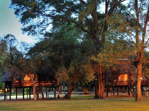 Property view