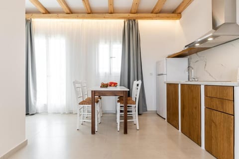 Birikos Hotel & Suites Apartment in Agios Prokopios