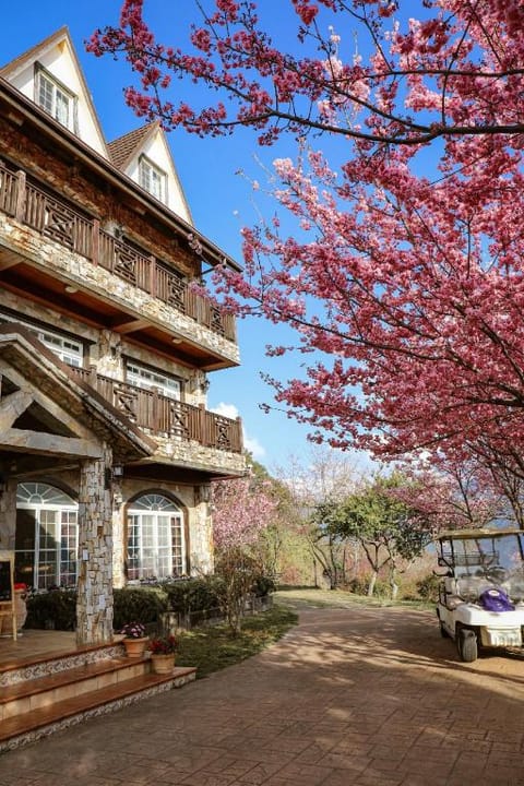Property view