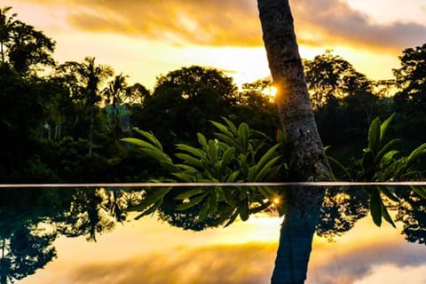 Kupu Kupu Private Villa Villa in Ubud