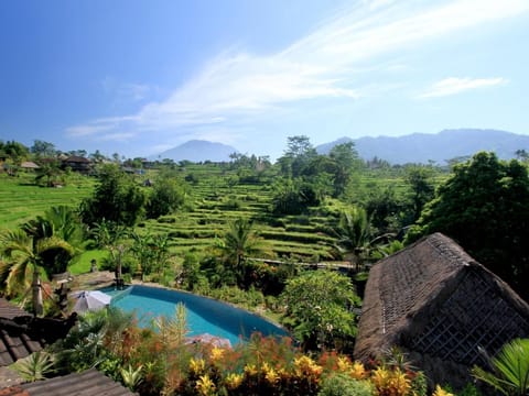 Abian Ayu Villa Bed and Breakfast in Sidemen