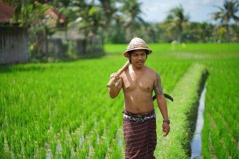 Villa Mandi Resort & Spa Hotel in Sukawati