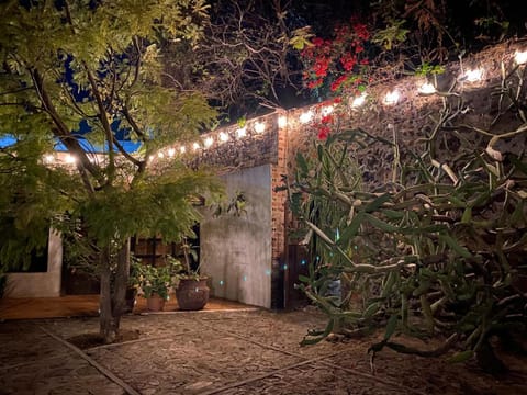 Posada Colibri - Hotel & Spa Hotel in Hidalgo, Mexico