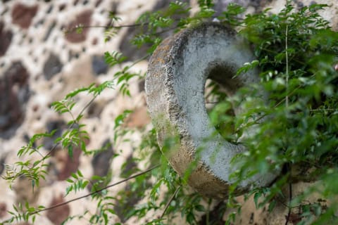 Posada Colibri - Hotel & Spa Hotel in Hidalgo, Mexico