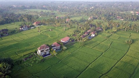 The Samara Bed and Breakfast in Ubud