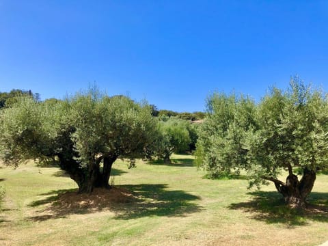 Nature & Design Bed and Breakfast in Bonifacio