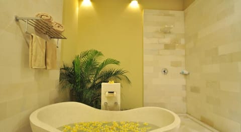Jas Green Villas And Spa Villa in Kuta
