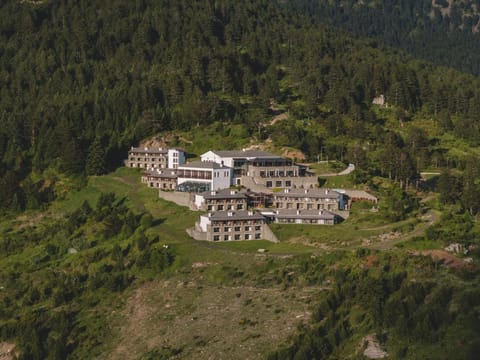 Grand Forest Metsovo Hotel in North Macedonia