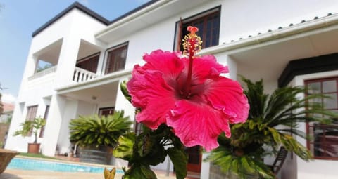 Helderberg Guesthouse Bed and Breakfast in Cape Town