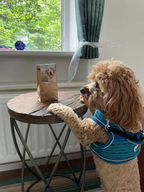 Royal Oak Hotel Hotel in Copeland District