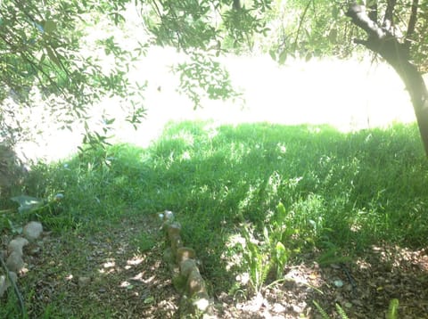 Little Willow Brooke Apartment in Franschhoek