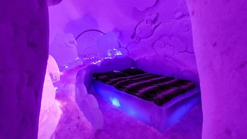 Arctic SnowHotel & Glass Igloos Hotel in Rovaniemi