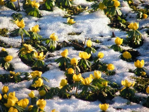 Glebe House Muston Bed and Breakfast in South Kesteven District