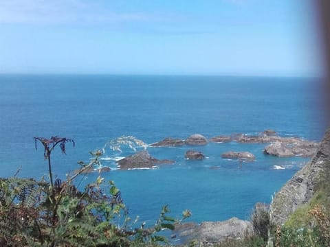 Avoncourt Lodge Bed and Breakfast in Ilfracombe