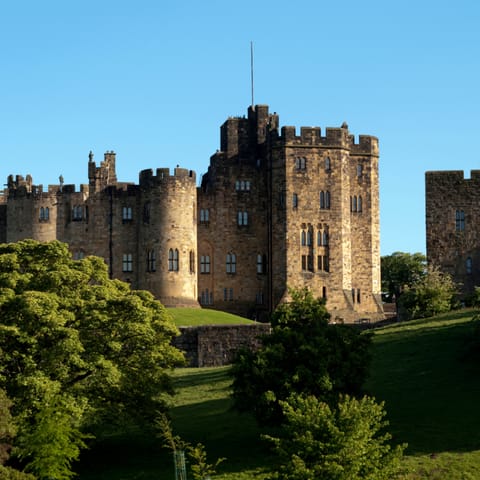 Hairy Lemon Hotel in Alnwick