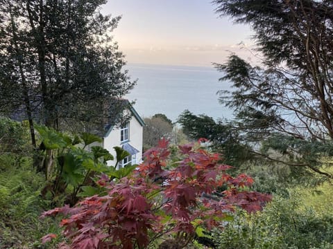 North Walk House Bed and Breakfast in West Somerset District