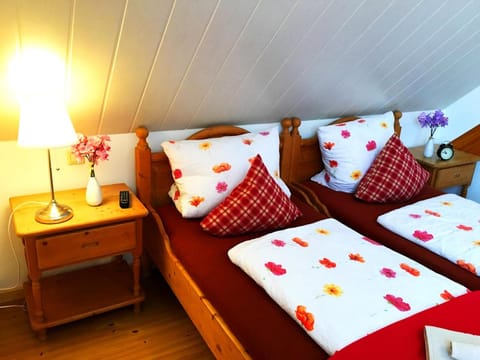 Hotel Landgasthof Sonne Hotel in Lahr