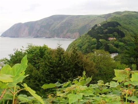 Simonsbath House Hotel Hotel in West Somerset District