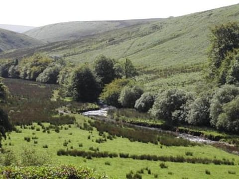 Simonsbath House Hotel Hotel in West Somerset District