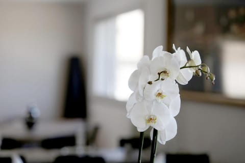 Hôtel Restaurant les Pielettes Hotel in Marseille