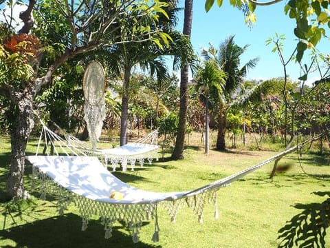 Green CoCo House Vacation rental in Abang